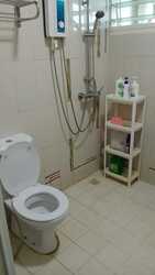 Blk 10A Tiong Bahru View (Bukit Merah), HDB 4 Rooms #274272281
